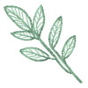 Mint green leaves in embroidery look