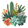 Succulentes et cactus Composition à l’aquarelle