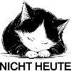 Kuschelige Schwarzweißkatze nicht heute