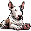 Miniatur Bullterrier Bully Bullterrierbesitzer