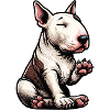 Miniatur Bullterrier Bully Bullterrierbesitzer