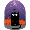 Chat d’Halloween, araignée et citrouilles
