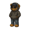 Sweat à capuche urbain Bear