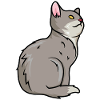 Cat Drawing