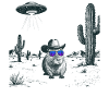 Desert Capybara