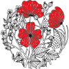 Fleurs d’hibiscus