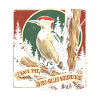 Ivory Woodpecker Birdwatcher