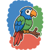 cute bird, little parrot