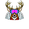 Après Ski Party Team