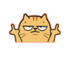 Middle Finger Cat