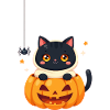 Halloween Cat with Halloween Pumpkin