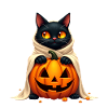 Halloween Cat with Halloween Pumpkin