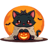 Halloween Cat with Halloween Pumpkin