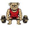 Bodybuilder Bulldog