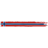 Norway Flag - Holiday Nature Gift
