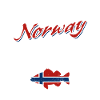 Norway Fishing Tour - Angler Gift