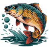 Jumping Carp