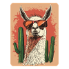 Lama