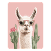 lama