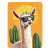 lama