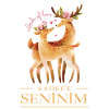 Sadece Senininim (tyrkisk) - Jeg tilhører kun dig