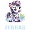 Zèbres Zèbre
