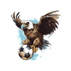 Équipe de football Adler
