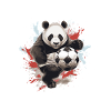Panda Football Team