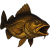 Majestic fish with an open mouth
