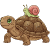 snail-rides-turtle-team-slow-lusti