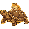 Hamster-Rides-Turtle-Cute-Animal-Friend