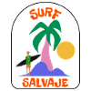 Surf Salvaje Palm Sunset