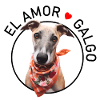 Galgo Heart Dog with Flower Bandana
