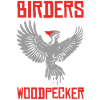 Elfenbein Specht Vogelbeobachter