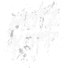 Motzkopp