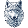 Arctic wolf