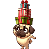 Lustiger Mops balanciert Weihnachtsgeschenke