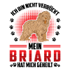 Briard heals me Berger de Brie