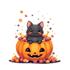 Halloween Cat with Halloween Pumpkin