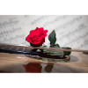 Red Rose on Guitar
