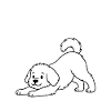 Namast'Paw Dog: Yoga Paws Humor