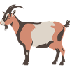Chèvre