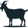 Chèvre