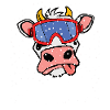 Stay_Kuhl_big