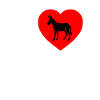 donkey