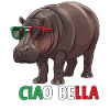 Ciao Bella
