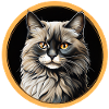 Ragdoll Cat Portrait