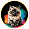 Ragdoll Cat Portrait