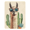 lama