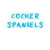 Cocker Spaniel